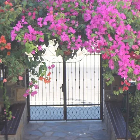 Lemon Tree Apart Hotel-2