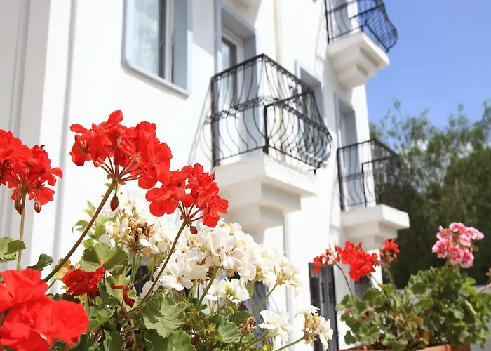 Casa Bodrum Gumbet