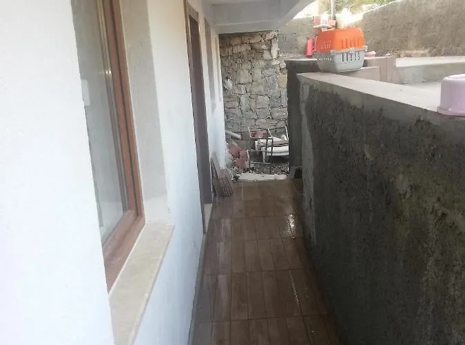 Albayrak Homes Bodrum che accetta animali