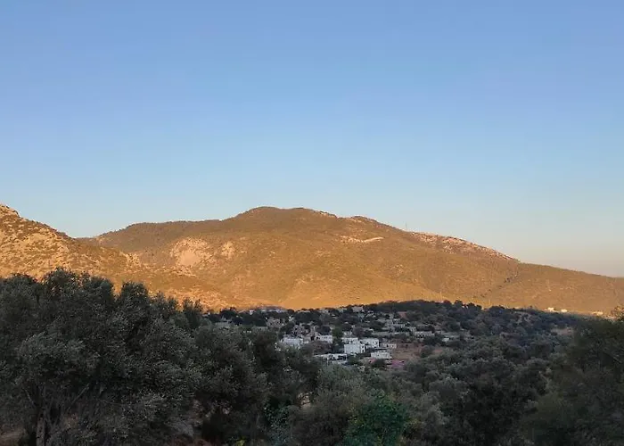El Privado Cosy, Luxury Villa In Yakakoy, Bodrum With 4 Master Rooms Private Garden And Pool Nested In The Olive Tree Fields