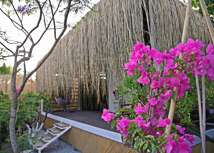 Pet friendly Podbodrum Tiny House