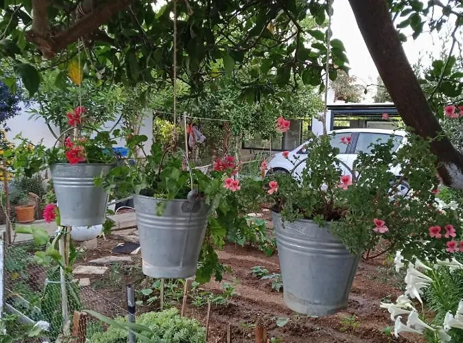 Best Location In Bodrum Center