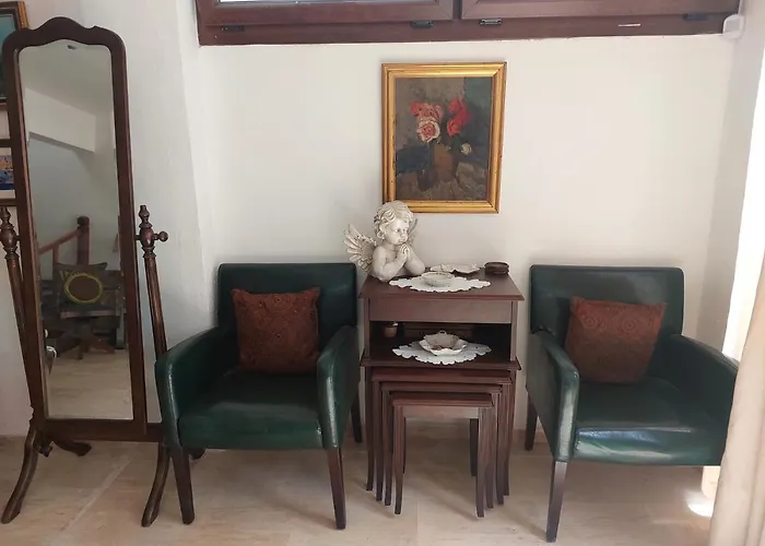 Bodrum Merkez Bahceli, Avlulu Ev acceptant les animaux