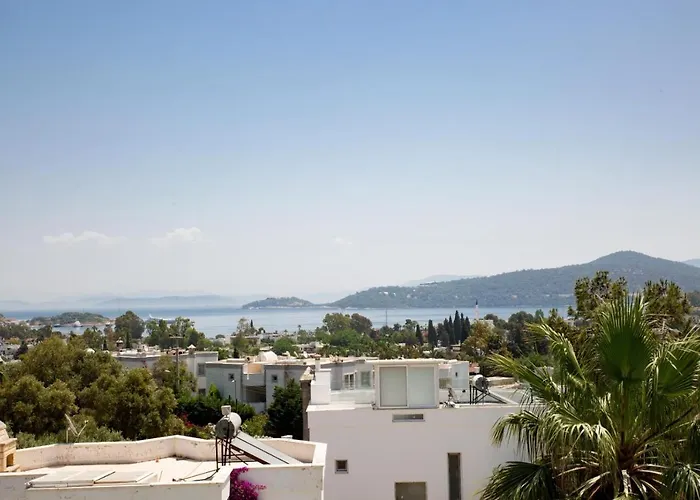 Pet friendly Luxury Villa In Tuerkbuekue Bodrum Turkey Close To Maca Kizi