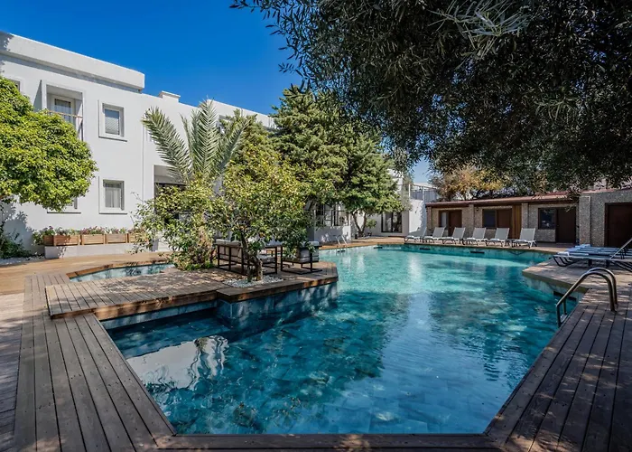 Hôtels accueillant des animaux domestiques à Bodrum