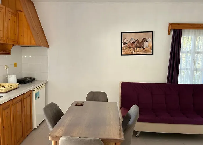 Ege Apartments Yalikavak