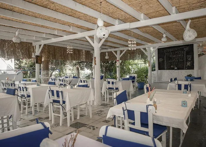 Olo Bodrum Hotel Yalikavak 8 Min Gumusluk 3 Min che accetta animali
