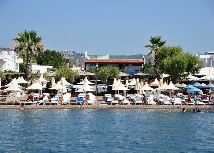 Dilekagaci Boutique Hotel And Beach Ortakent acceptant les animaux