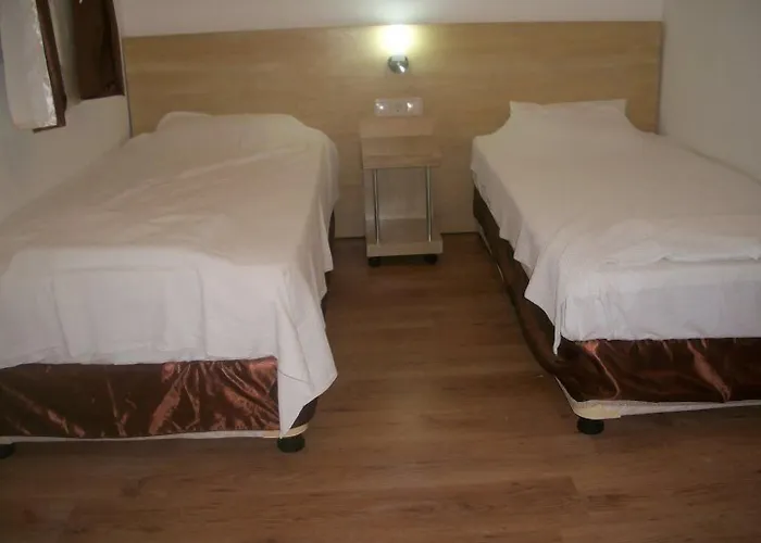 Pet friendly Gunisigi Hotel Golturkbuku