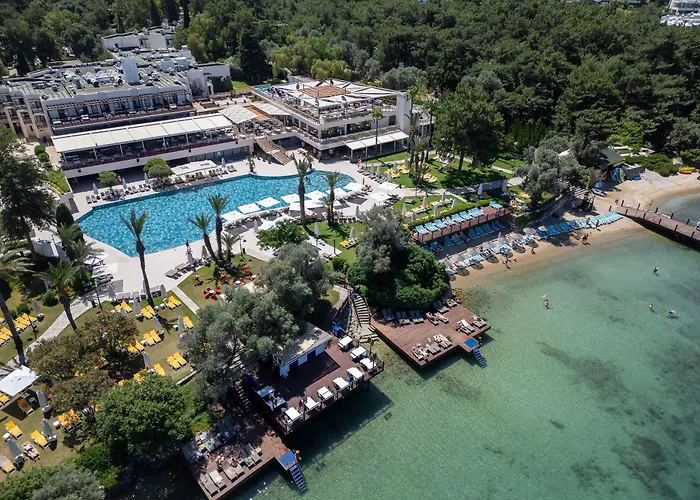 Huisdiervriendelijke hotels in Torba