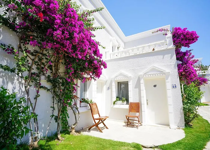 Hotels nahe Dodo Beach Club